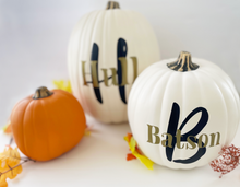 Load image into Gallery viewer, Personalized Family Pumpkins
