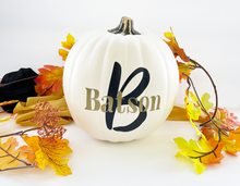 Load image into Gallery viewer, Personalized Family Pumpkins
